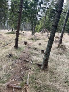 Fotografija s spletne strani Stefan Milchrahm na poti