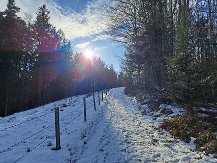 Fotografia z Rudi na trase