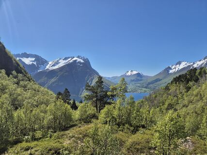 Zdjęcie z nancy k wzdłuż trasy