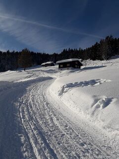 Sonniger Wanderweg auf den Brüggelekopf