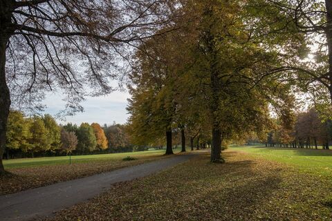 Allee am Voithenberg