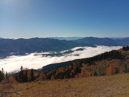 Photo de Harald Bäck le long du parcours