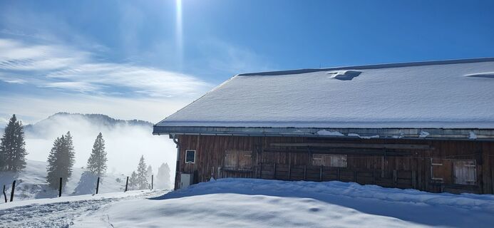 Foto von Isabella Leopolder entlang der Tour