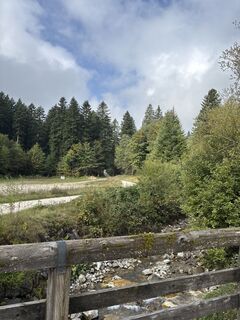 Fotografia z Heinz Sperl na trase