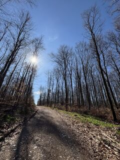 Foto de RS76 a lo largo del recorrido