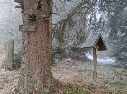 Foto von Daniela König 1 entlang der Tour
