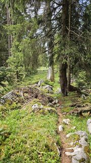 Photo de Christian Thomas le long du parcours