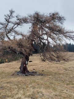 Seckau, Steiermark/Österreich
