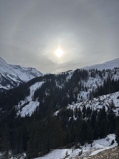 Fotografija s spletne strani Alexander Puplick na poti