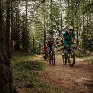 Mountainbiker in der Region Giw
