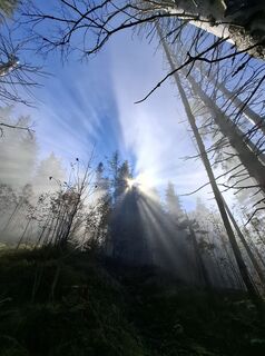 Foto von Maurer Silvia entlang der Tour