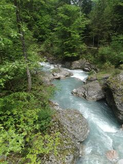 Fotografija s spletne strani Waldläufer na poti