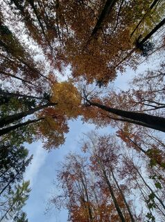 Foto fra MNw undervejs på turen