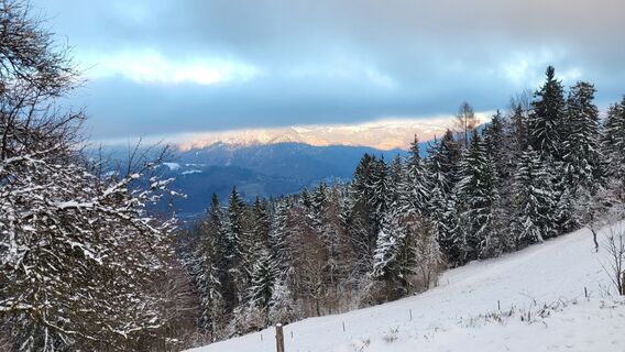 Photo de Bernarda le long du parcours