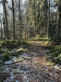 Fotografia z Kurt Hackenbeck na trase