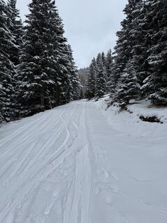 Zdjęcie z Schabsi wzdłuż trasy