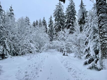 Foto von Les aventures de Ghislain entlang der Tour