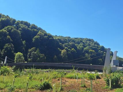 Photo de Irmi♧ le long du parcours