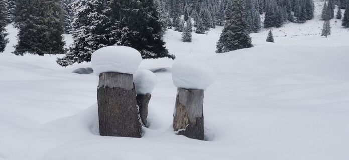 Fotografija s spletne strani Claudia Hinteregger na poti