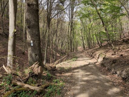 Foto von Attila Németh entlang der Tour
