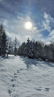 Fotografija s spletne strani Marlyse Leu na poti