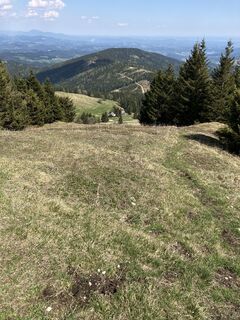 Fotografie z Daniel Vogel na trase