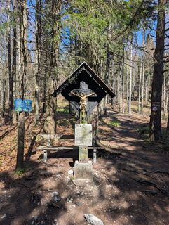 Foto de s3ns3 a lo largo del recorrido