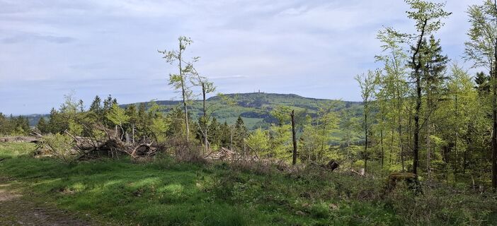 Photo de Karin-Wandert le long du parcours