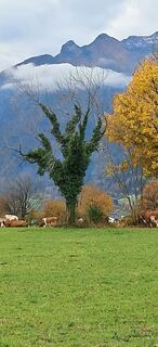 Fotografie de la Buchegger Barbara de-a lungul turului