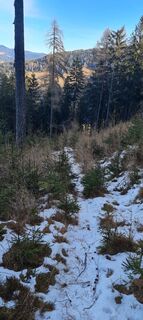 Foto von BButch entlang der Tour