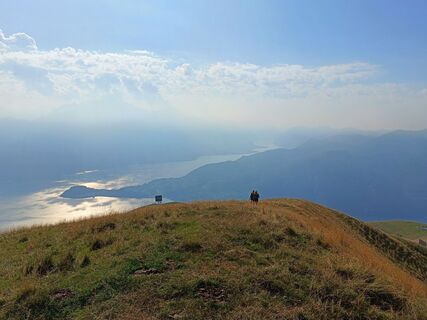 Photo de michael Wolfger le long du parcours