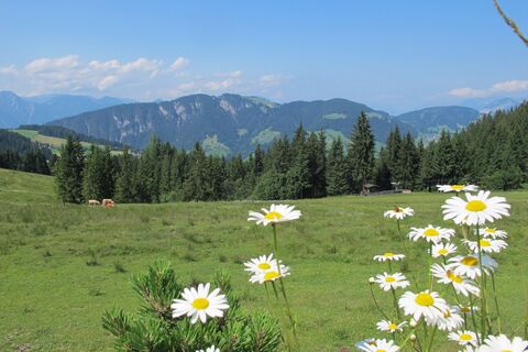 Wildschönau Auffach Koglmoos Ausblick.jpg