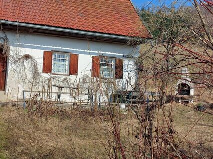 Zdjęcie z Thomas Walzl wzdłuż trasy