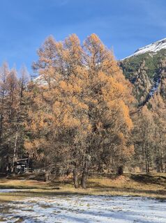 Foto von Thomi W entlang der Tour