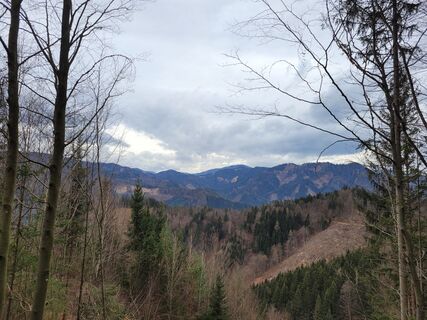 Fotografia z Juliane Jarke na trase