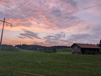 Fotografija s spletne strani Poe Michi na poti