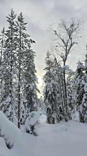 Foto von Paul Didier entlang der Tour