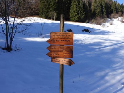 Fotografie z Lorenzo L. na trase