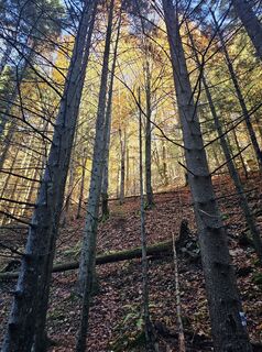 Foto von Robertok entlang der Tour