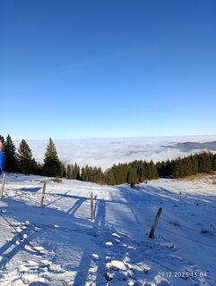 Foto von Melanie Rapperstorfer 1 entlang der Tour
