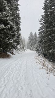 Foto de Andrea Inserra a lo largo del recorrido