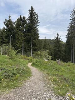 Anger_Stoisseralm