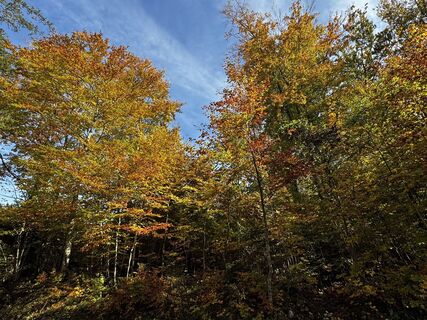 Fotografia z Gerhard Piglmann na trase