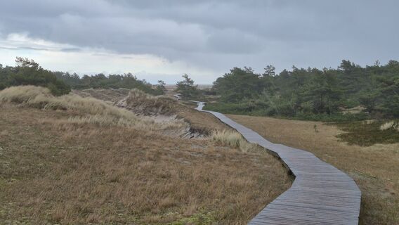 Zdjęcie z Heisi wzdłuż trasy