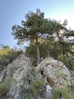 Fotografija s spletne strani Robert Christiaans na poti
