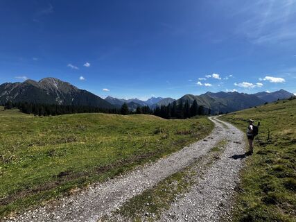 Zdjęcie z Timberwolf_Bavaria wzdłuż trasy