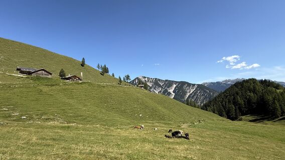 Fotografie de la Slavko Bevanda de-a lungul turului
