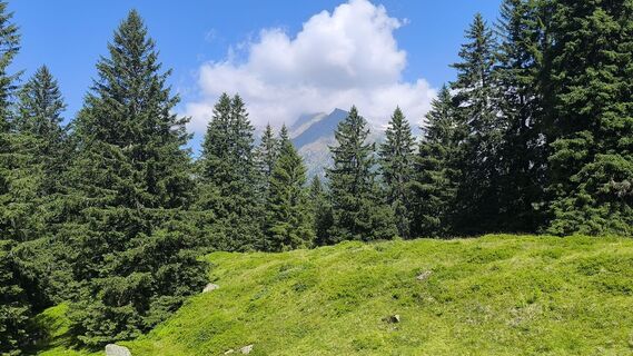 Photo de Roberto Branzanti le long du parcours