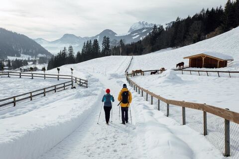Wanderer vom Wilden Kaiser in St. Johann in Tirol