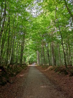Photo de Peter Bauridl le long du parcours